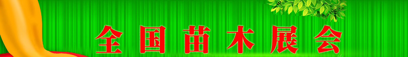 苗木展会频道